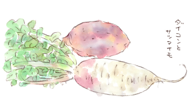 ダイコンとサツマイモ