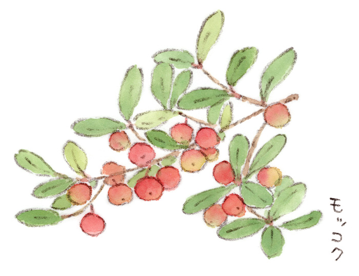 赤いボンボンツリー