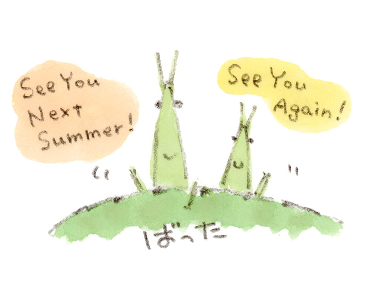 バッタさん、また来年