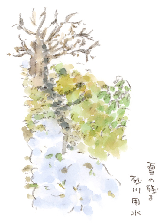 雪の残る砂川用水