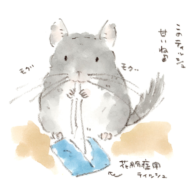 保湿ティッシュをモグモグ