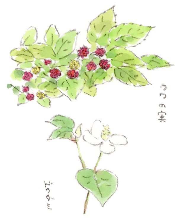 緑道にて