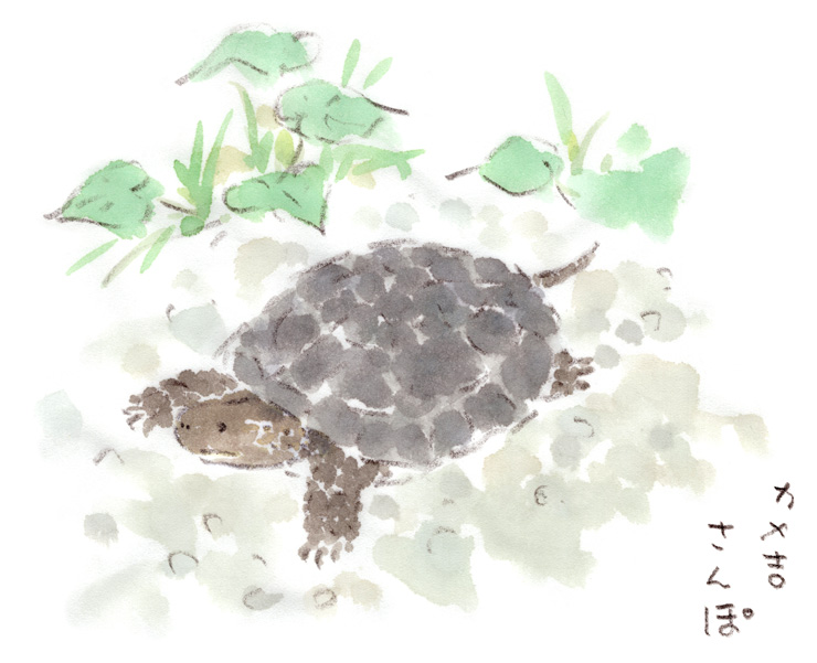 カメ吉トレイル