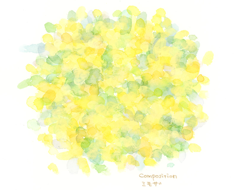 色彩スケッチ-ミモザ