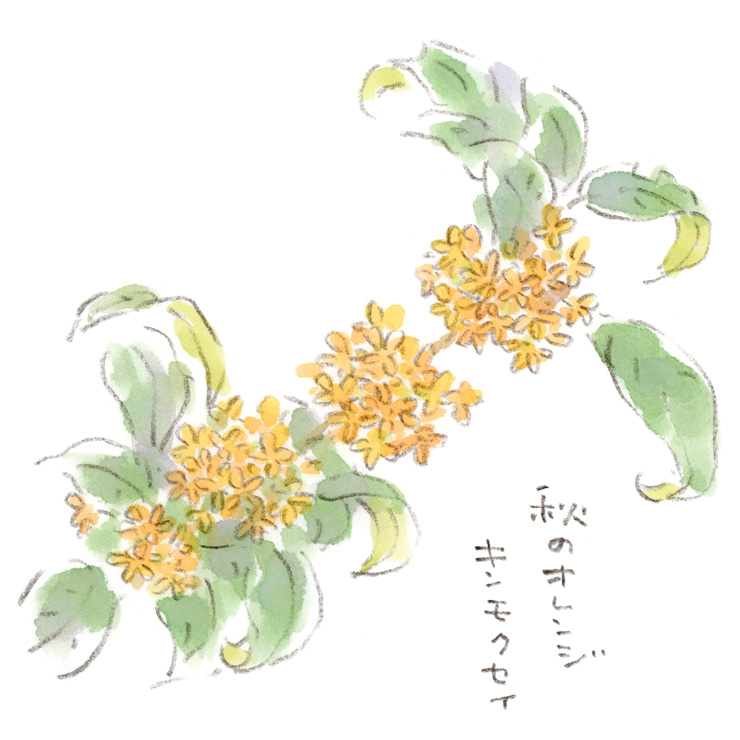 秋のオレンジ色