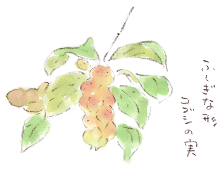 もこもこ造形コンクール