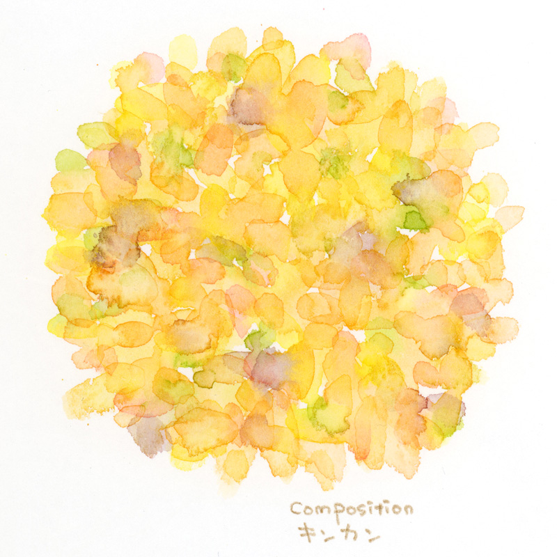 色彩スケッチ-キンカン