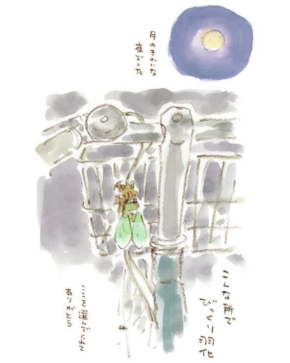 セミばなし