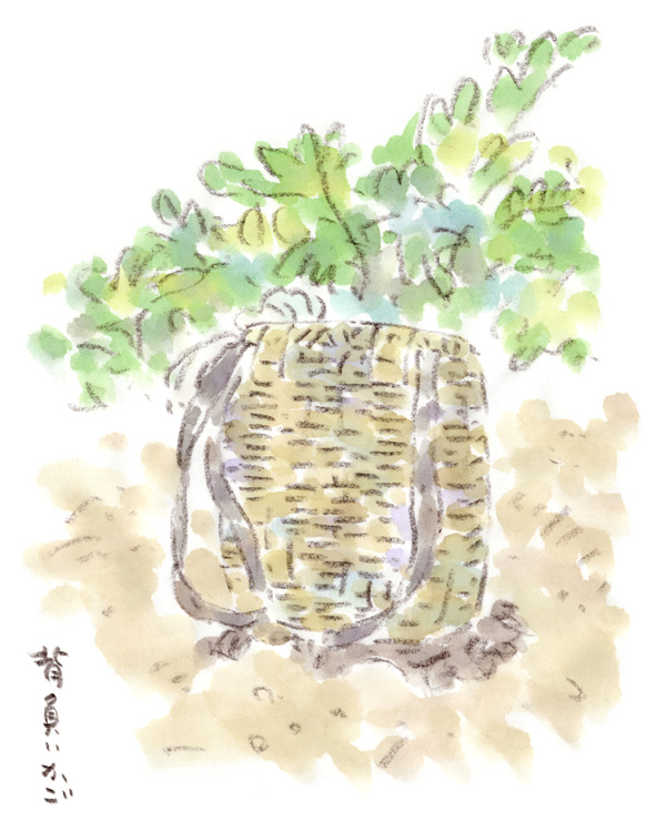 畑と背負いカゴ