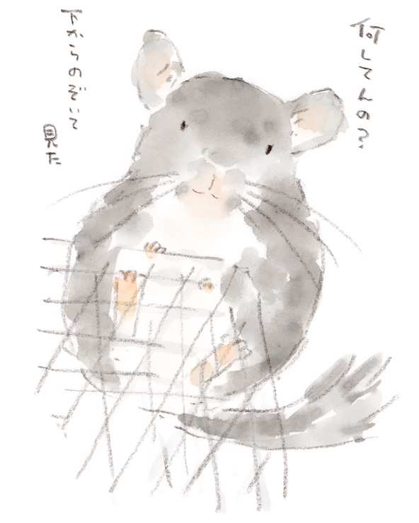 ゲージの上にいるチンチラを下から覗いてみた図