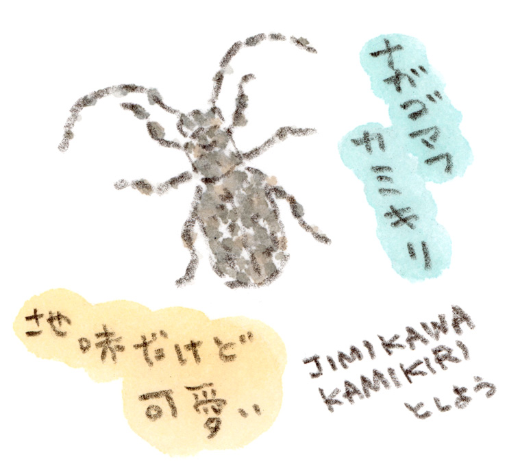ナガゴマフカミキリ