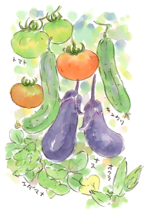 散策スケッチ-野菜直売所の畑にて