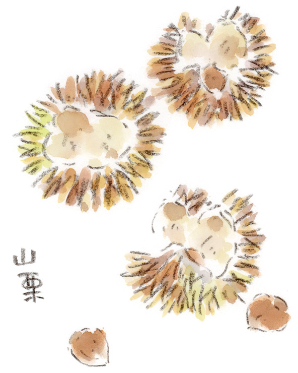 山栗ころころ