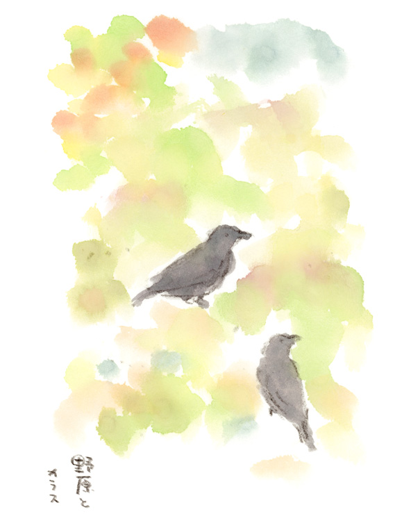 秋の野原とカラス