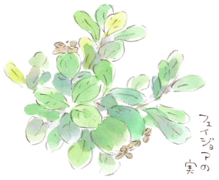 ユニークな形のフルーツ