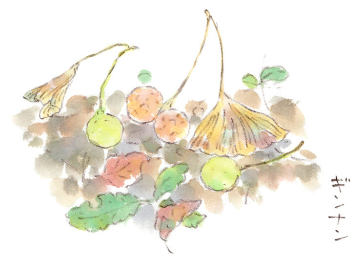 秋の子、見つけた