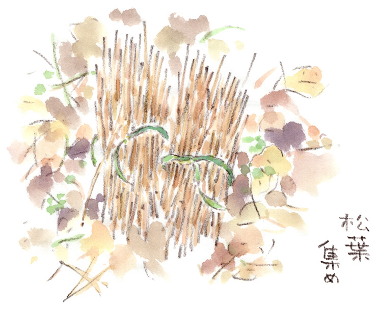 松葉集め