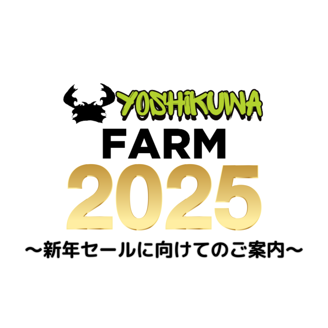 明けましておめでとうございます