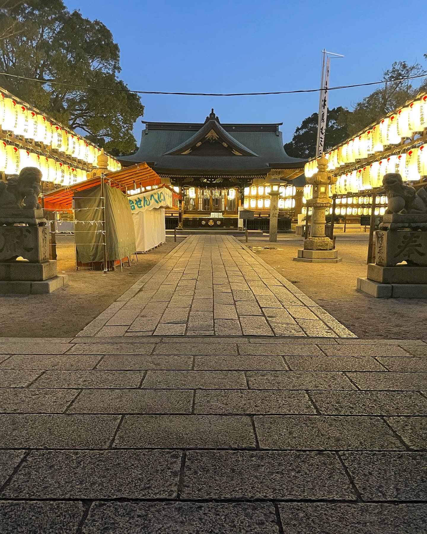 2023年