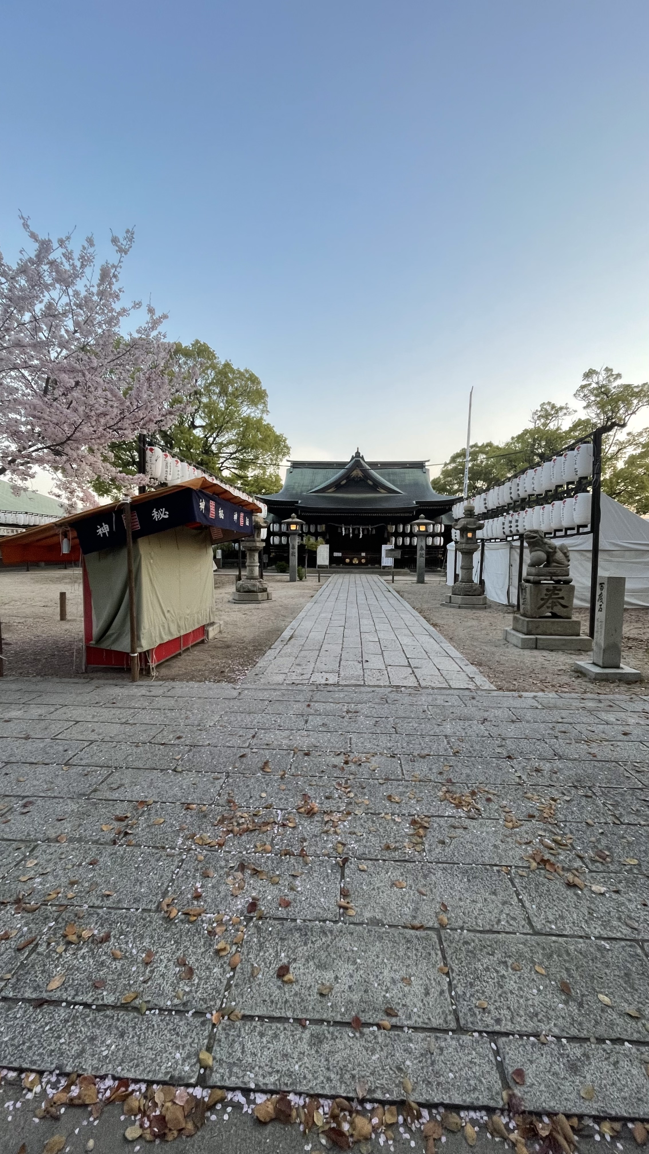 4月もなにかが変わる🌸🌸