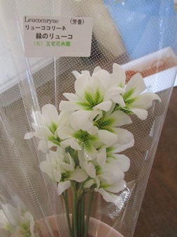 年内最終の投稿です
