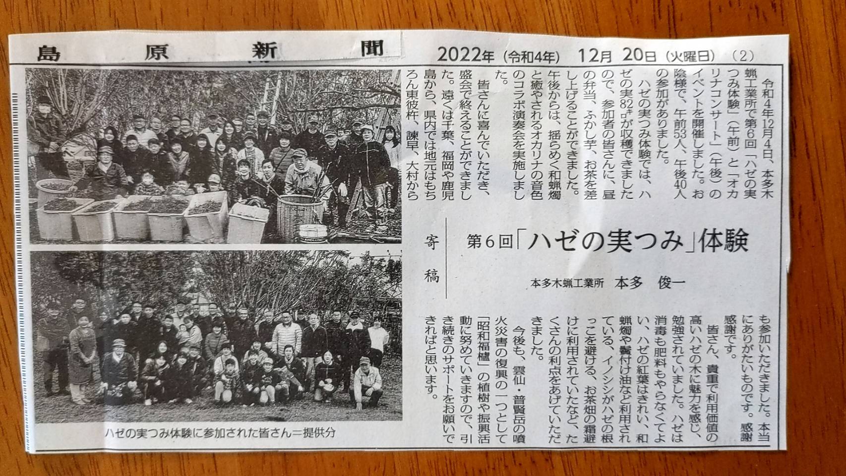 【メディア掲載情報】島原新聞に本多木蝋工業所の櫨（はぜ）つみ体験の様子が掲載されました。
