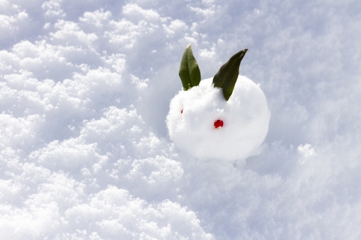 雪焼けを甘くみてはいけません。ウィンタースポーツには、UVクリーム持参して。