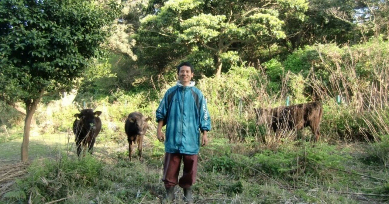 自然放牧で牛を育てる理由とは？