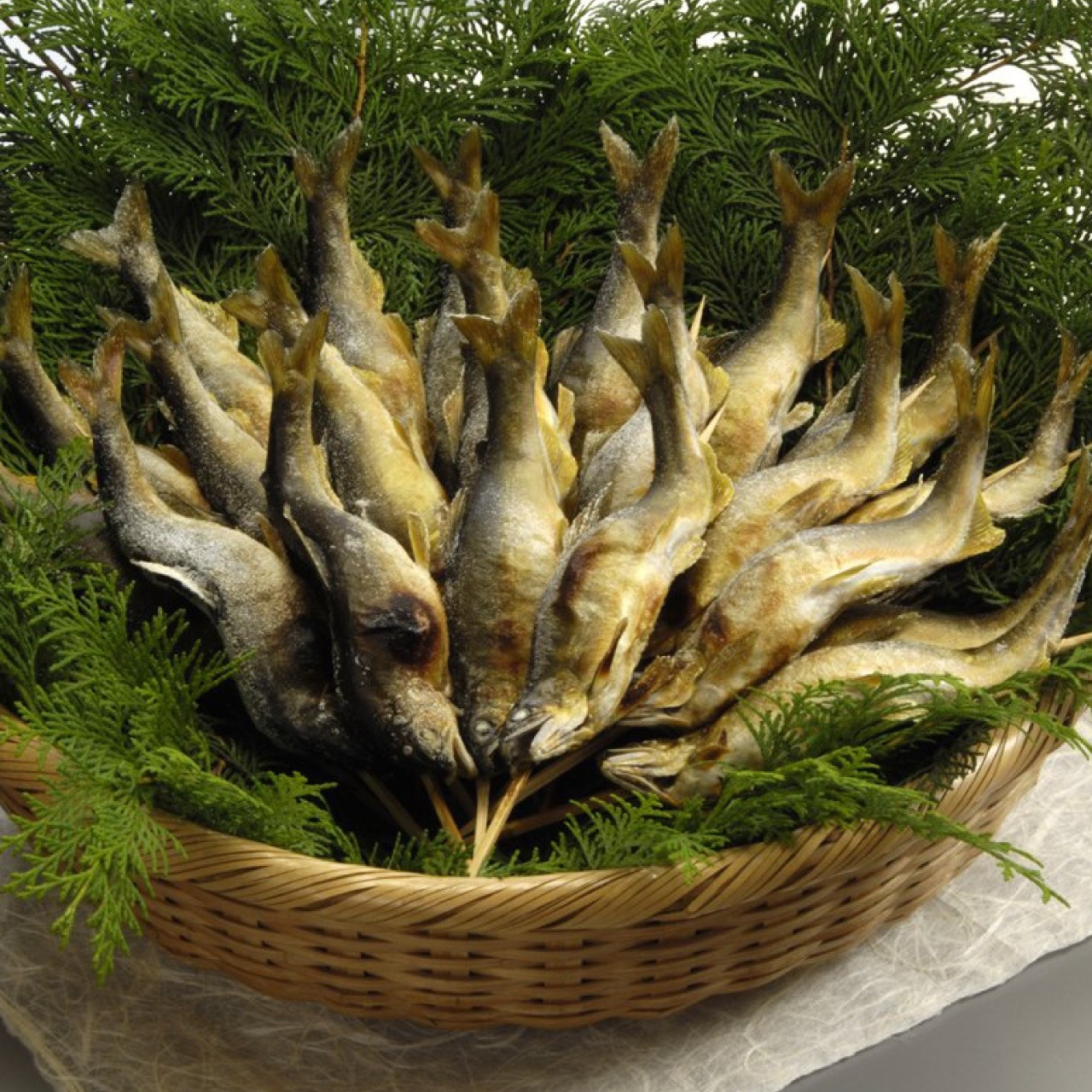 臨時休業のお知らせ