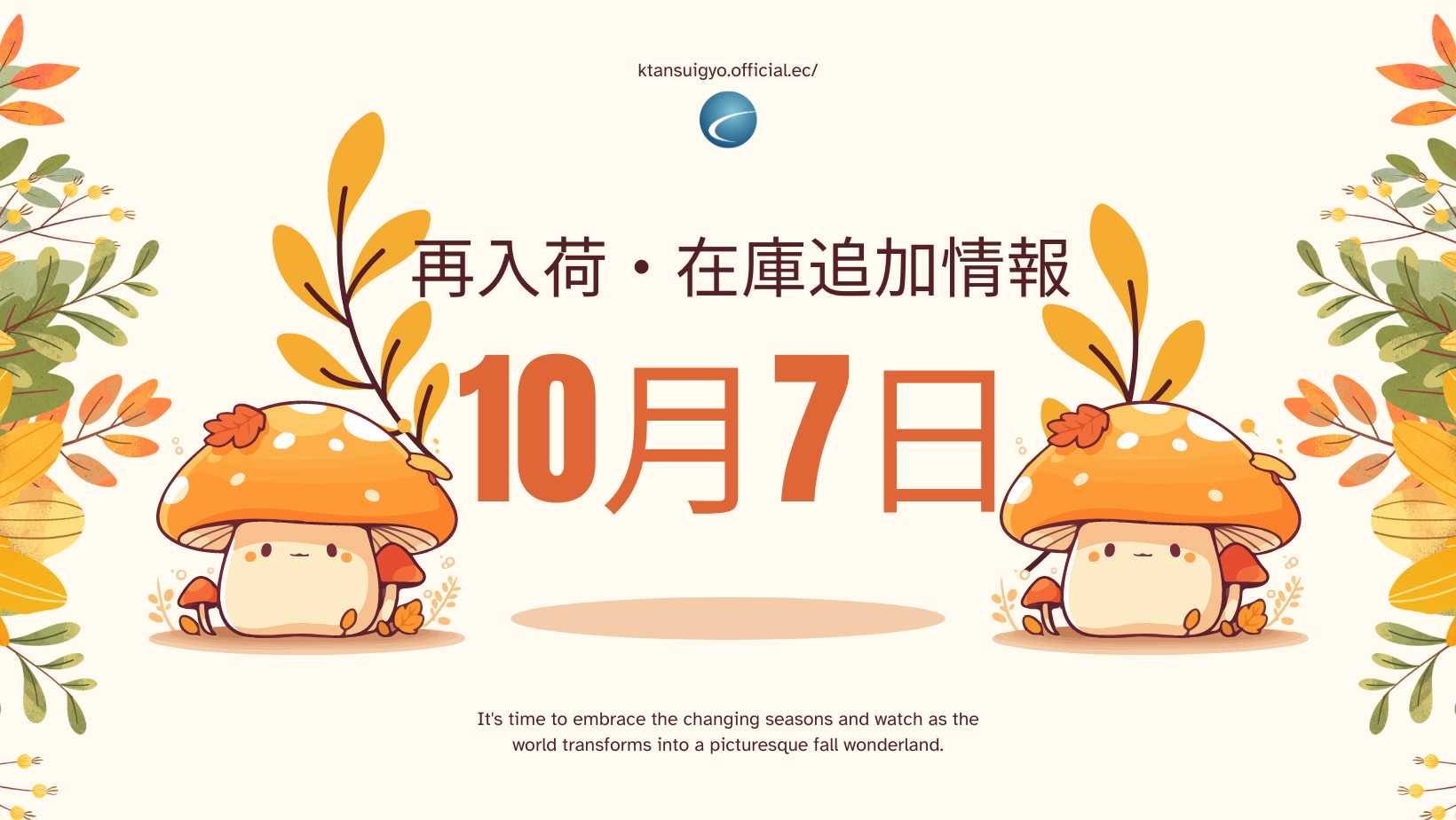 【再入荷・生体】2024年10月10日