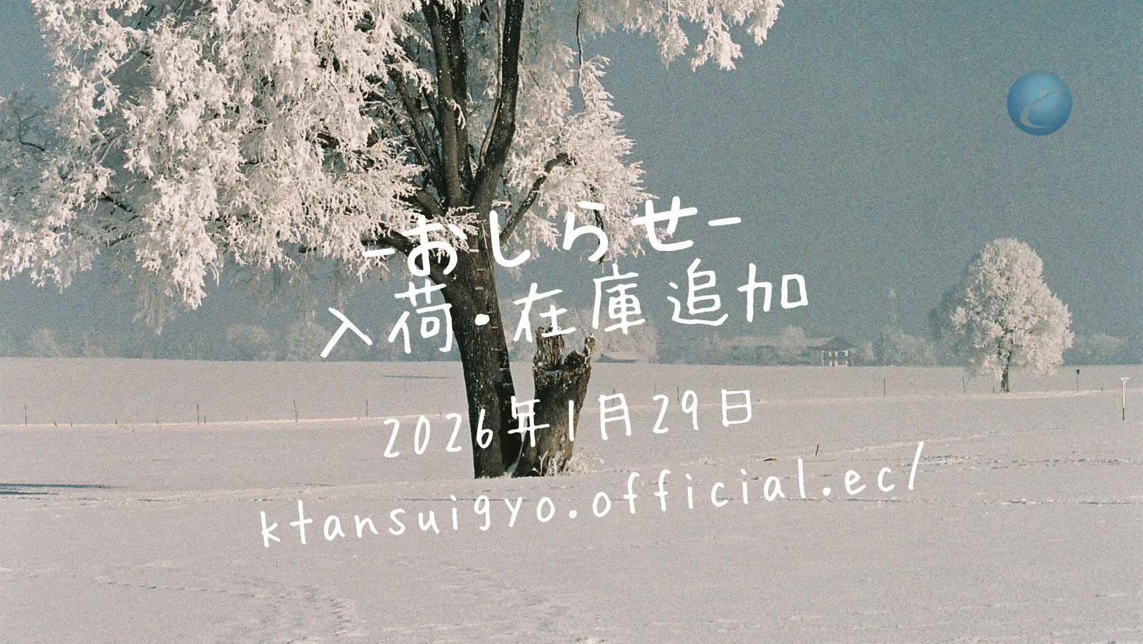 【入荷・生体】2026年1月29日