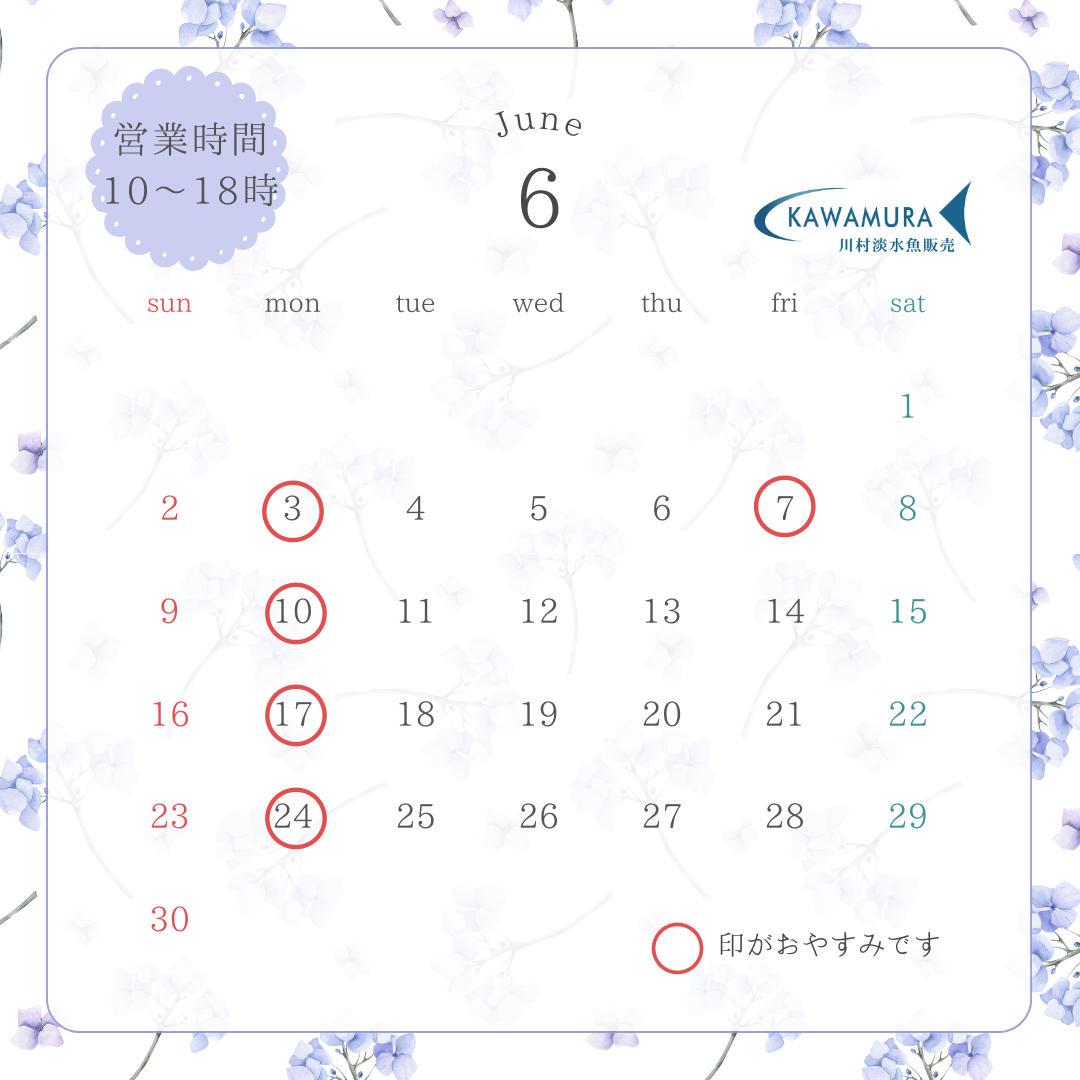 【2024年6月・カレンダー】営業案内