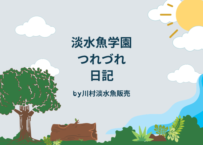 【ブログ・記事案内】淡水魚学園つれづれ日記　ブログ開設のお知らせ