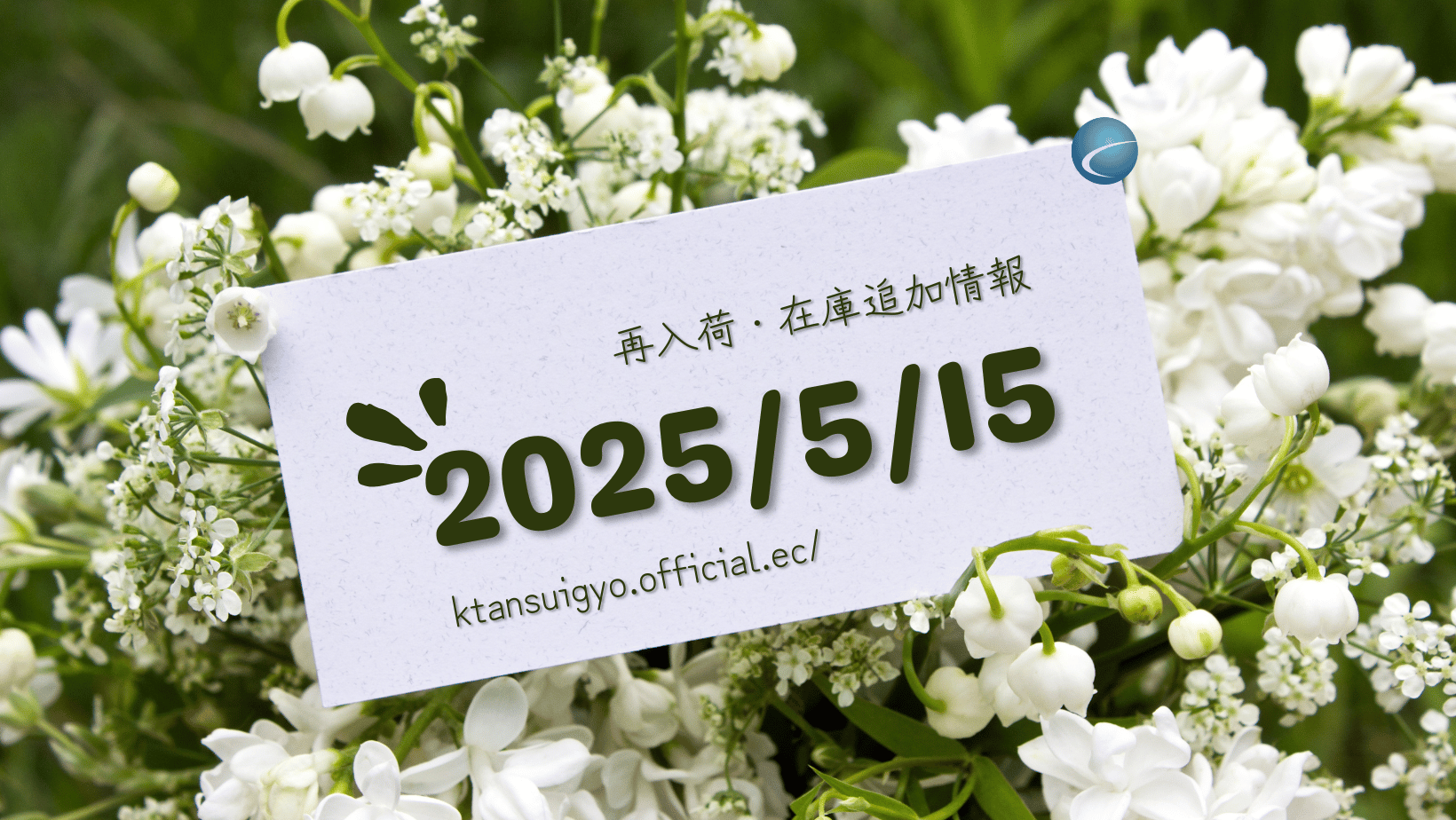 【再入荷・生体】2025年5月15日
