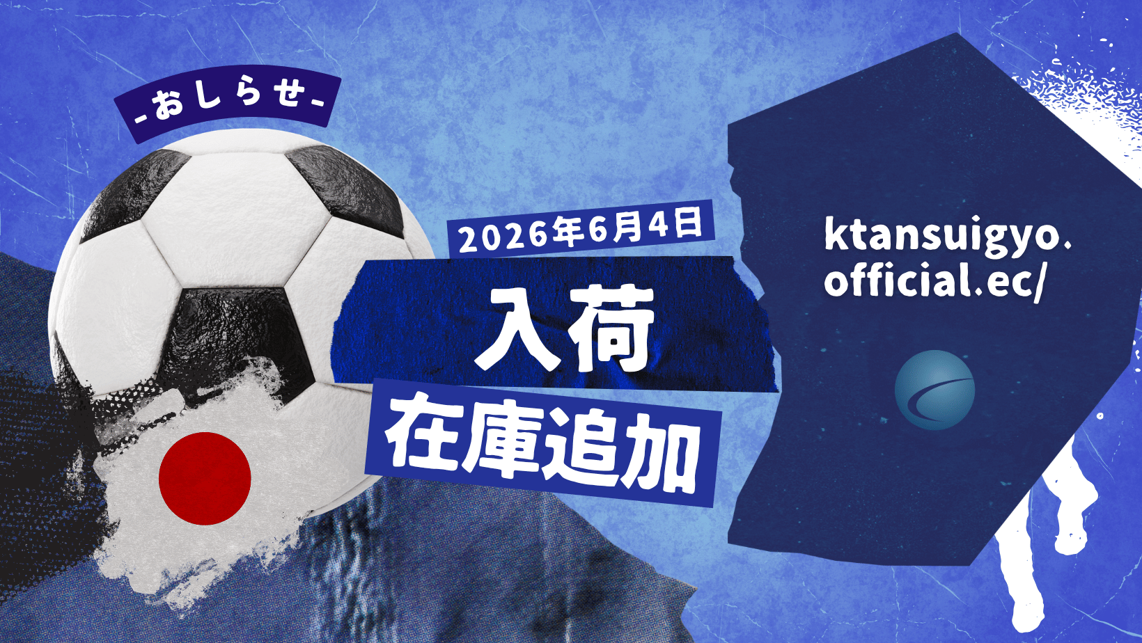 【入荷・生体】2026年6月4日