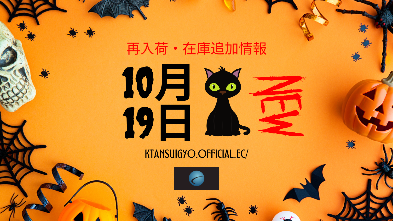 【再入荷・生体】2024年10月19日