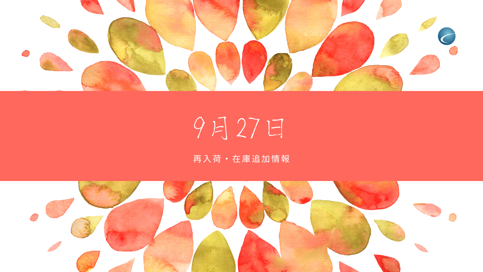 【再入荷・生体】2024年9月27日