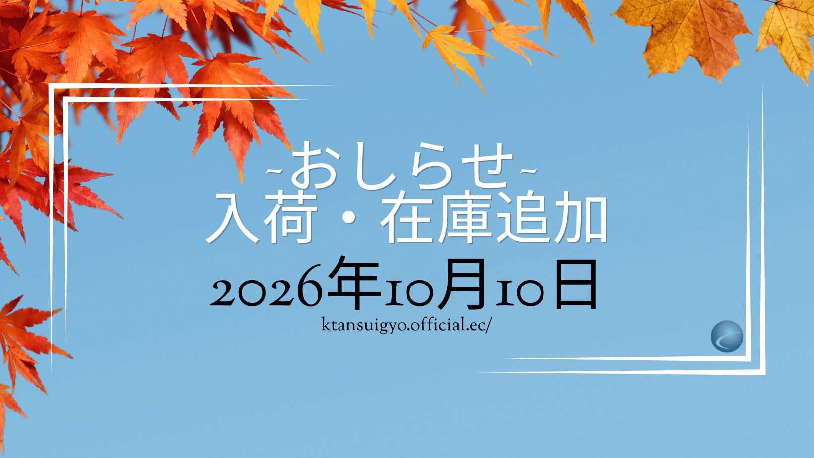 【入荷・生体】2026年10月10日