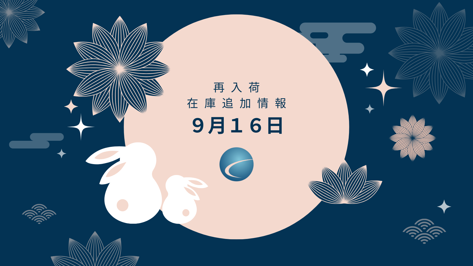 【再入荷・生体】2024年9月16日