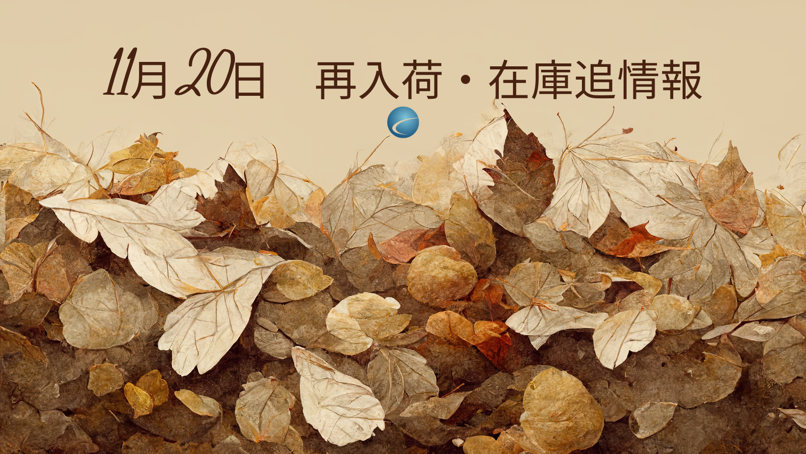 【再入荷・生体】2024年11月20日