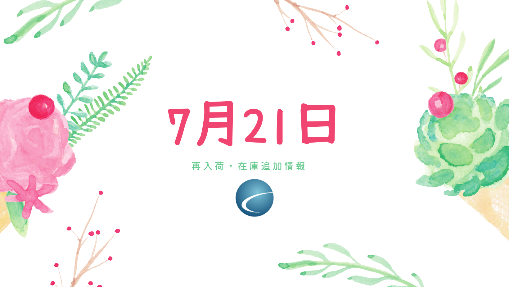 【再入荷・生体】2024年7月21日