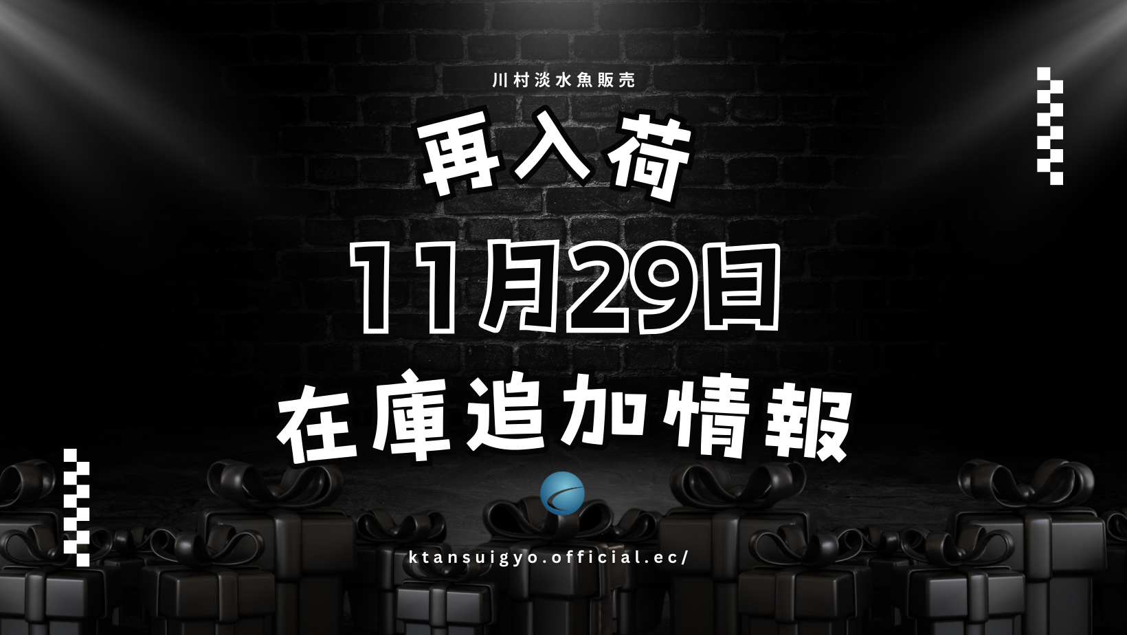 【再入荷・生体】2024年11月29日