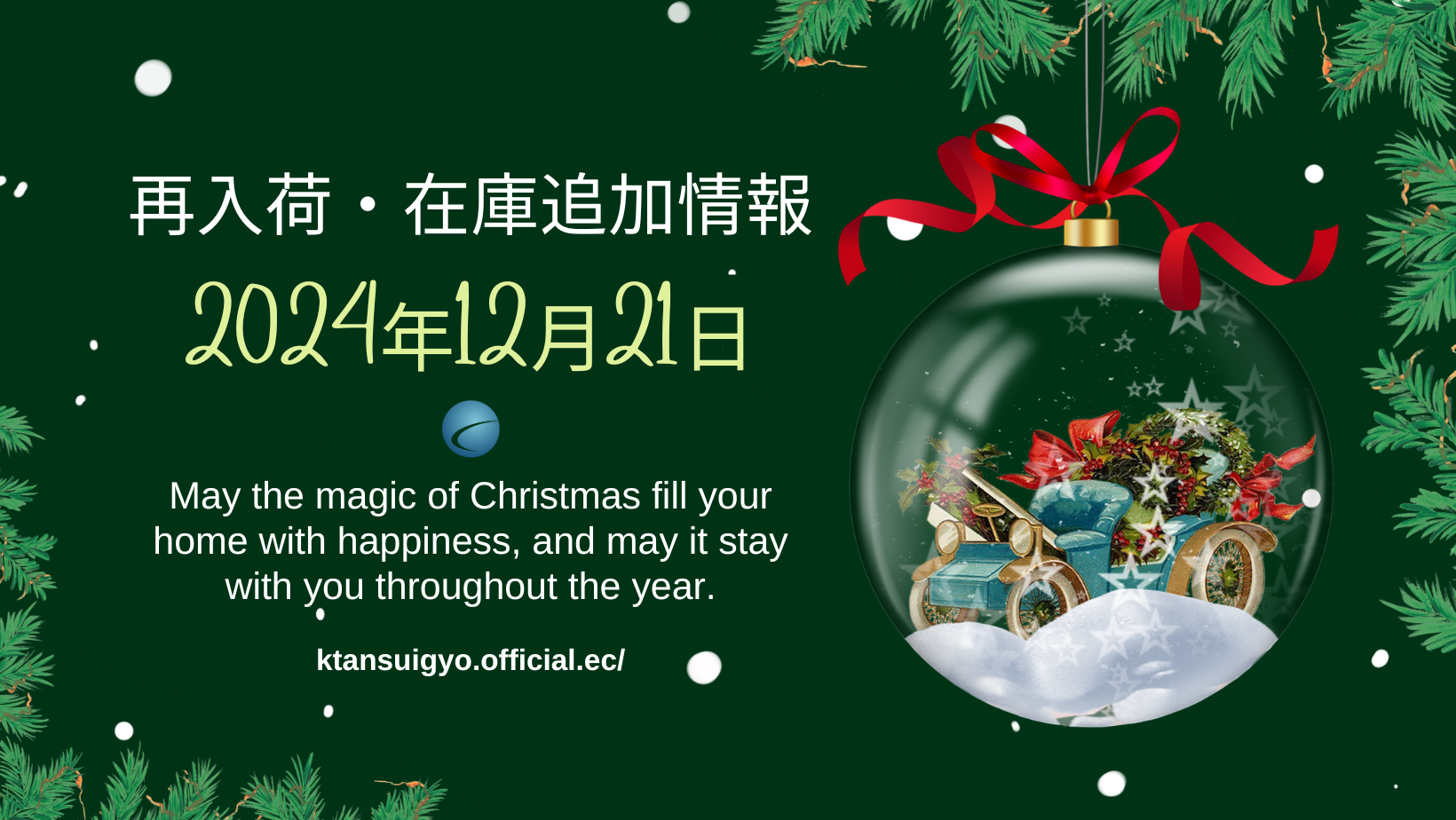 【再入荷・生体】2024年12月21日