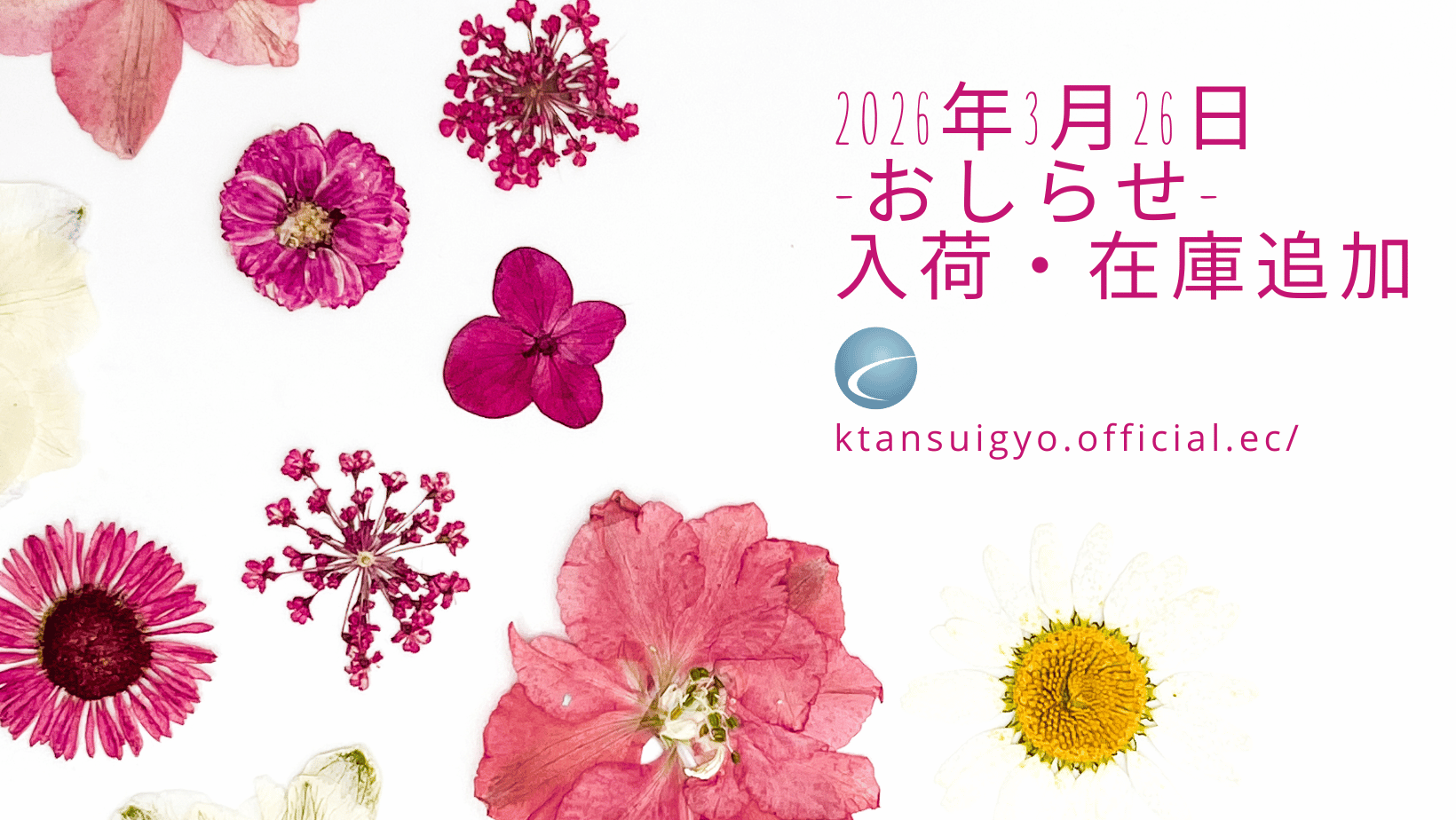 【入荷・生体】2026年3月26日