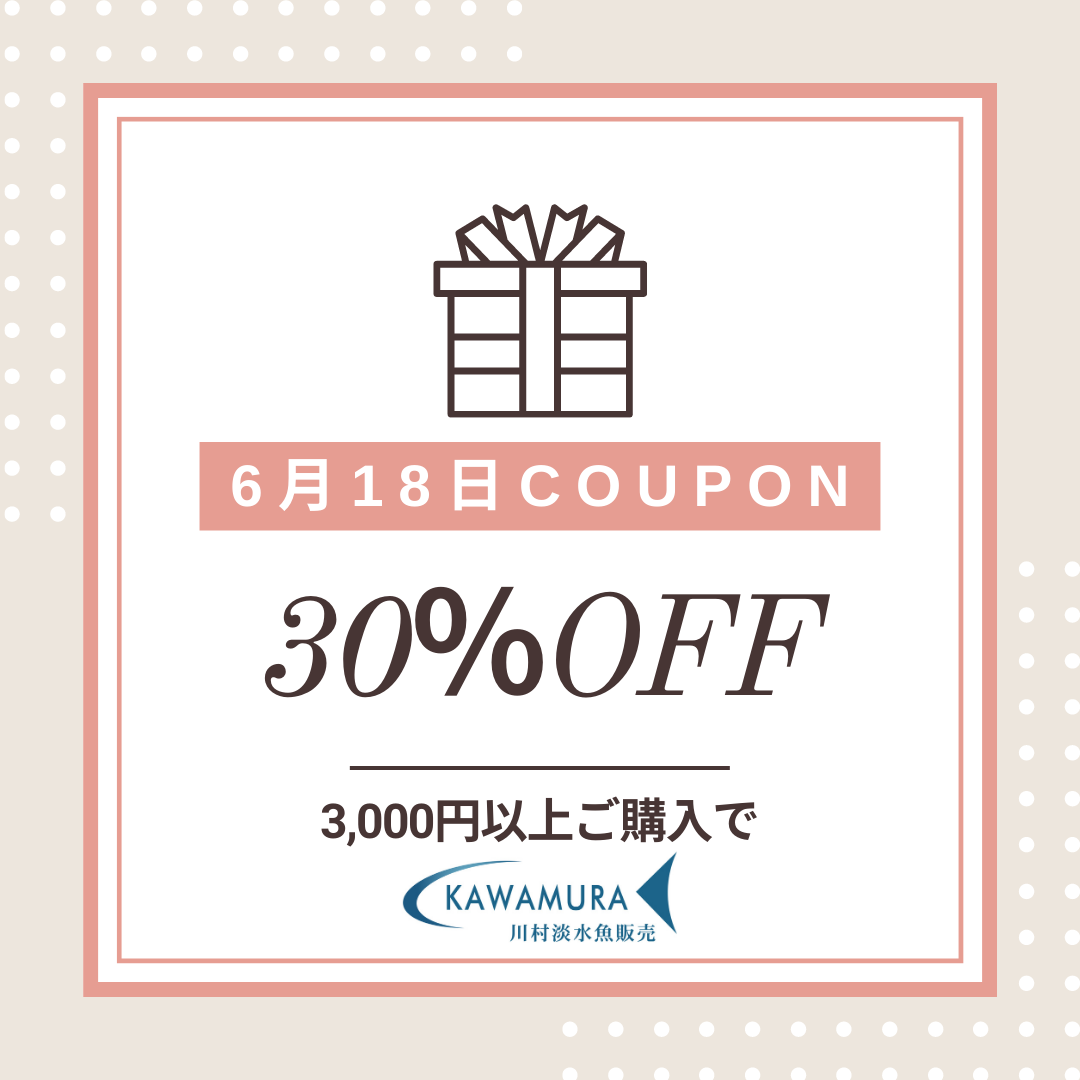 【今月の店長の日・クーポン】6月18日限定　店長クーポン　30％OFF　配布いたします