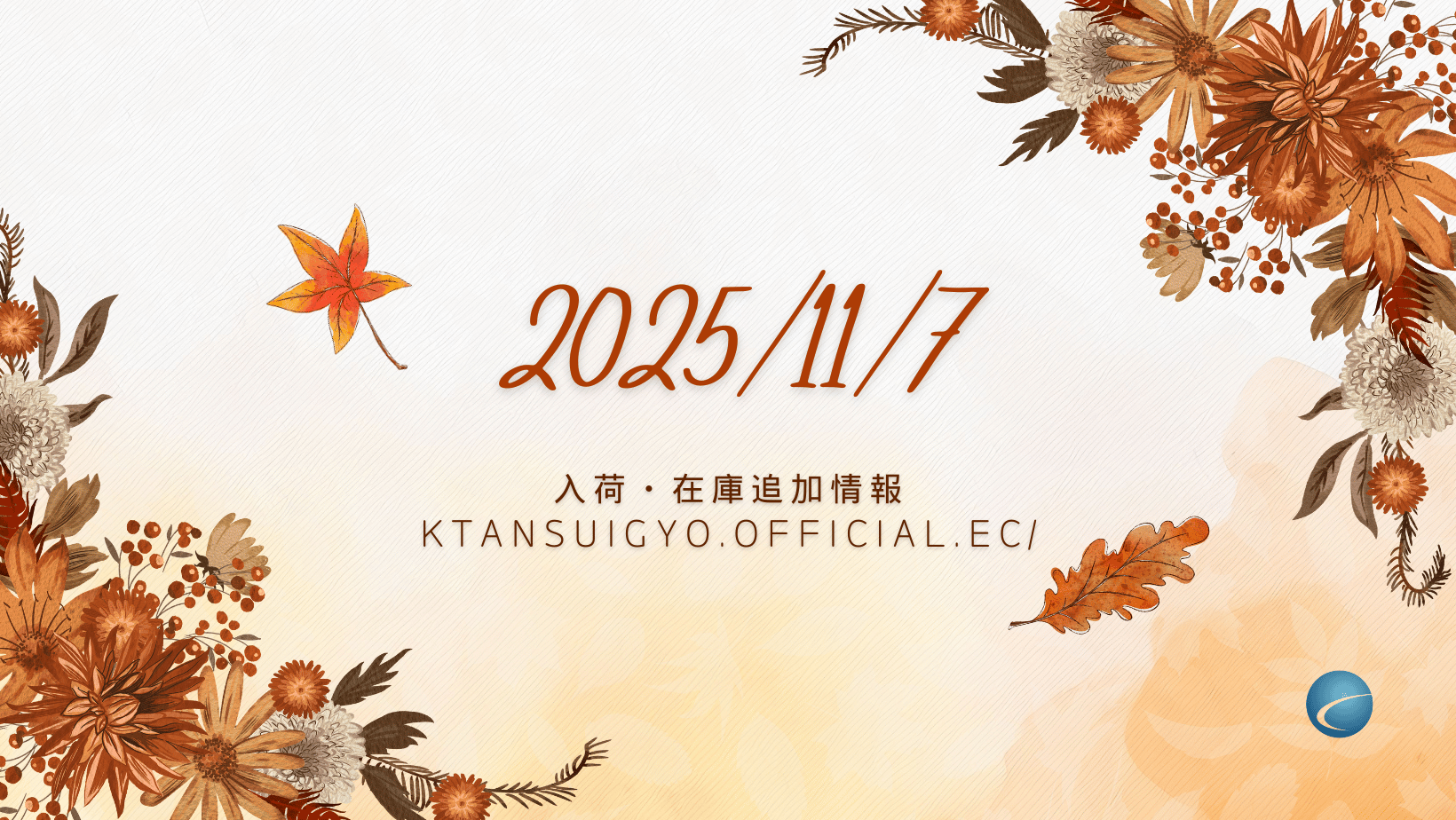 【入荷・生体】2025年11月7日