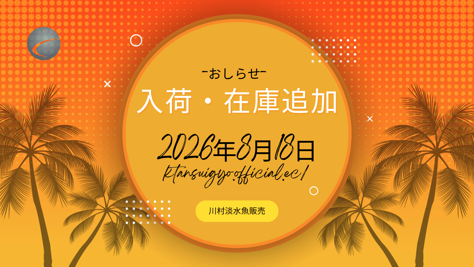 【入荷・生体】2026年8月18日