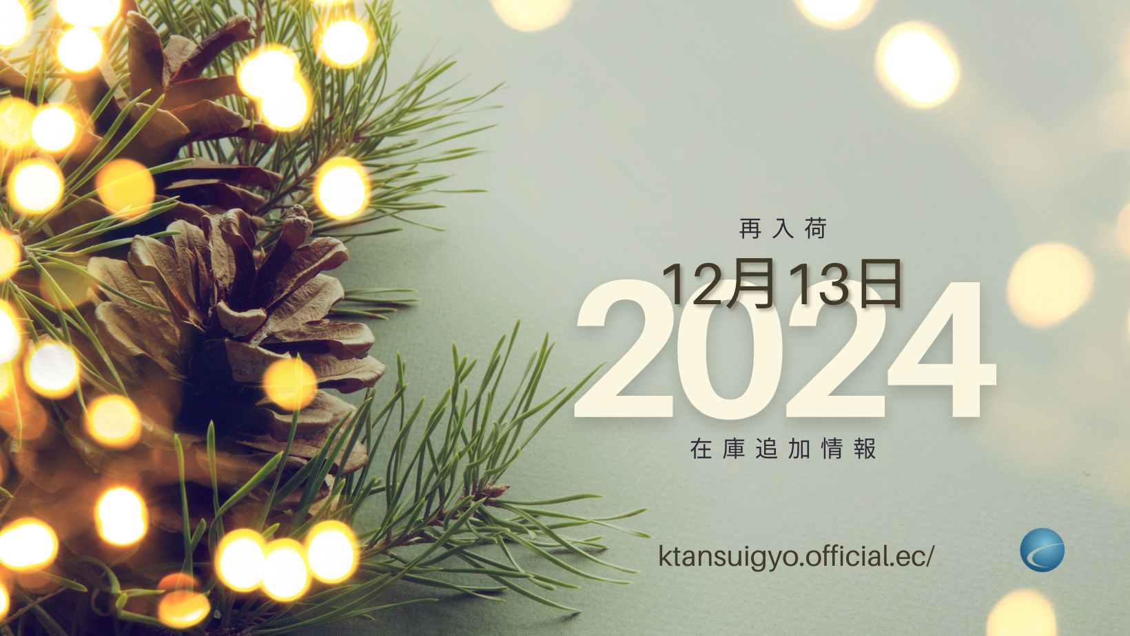 【再入荷・生体】2024年12月13日