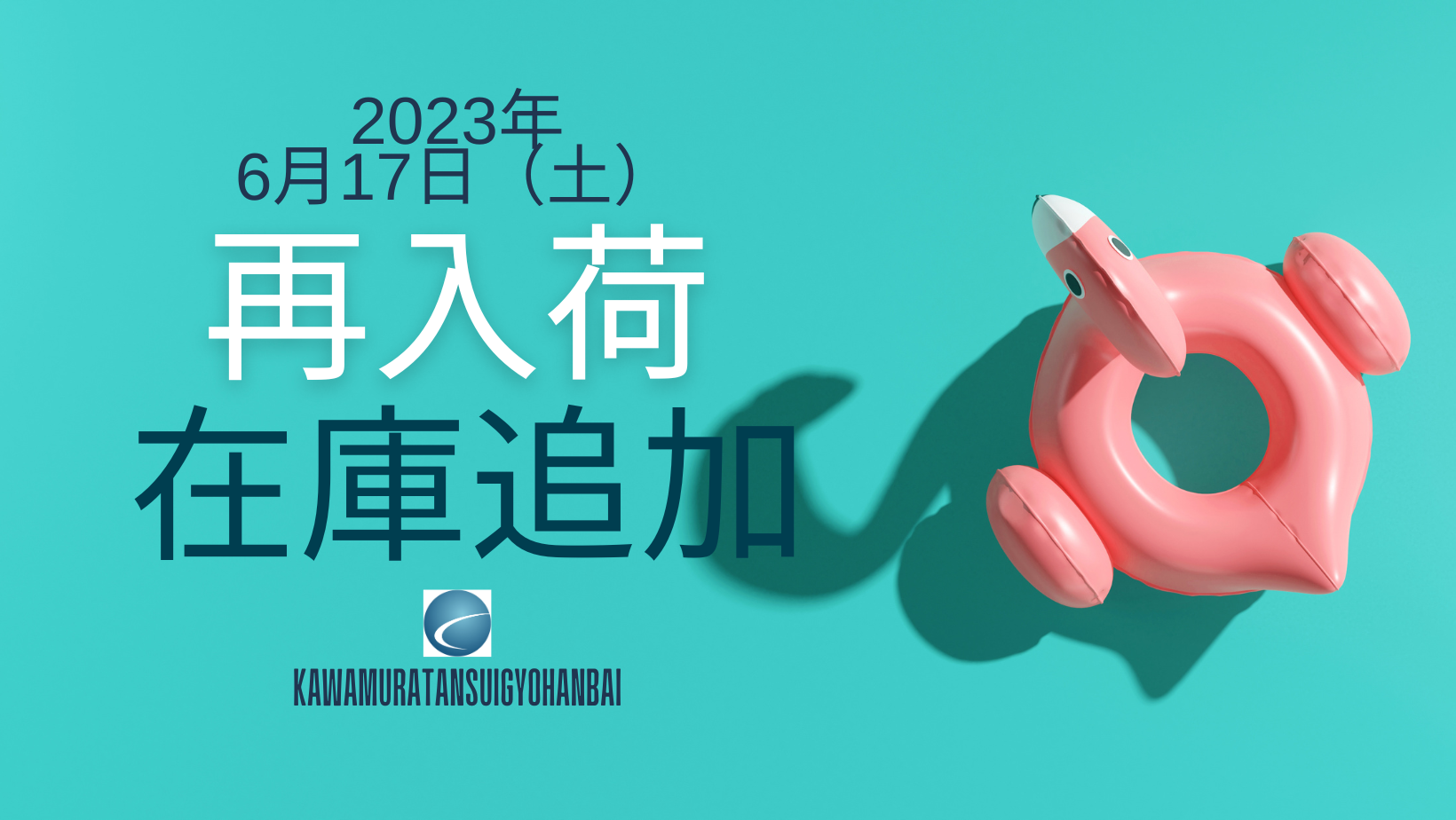 【再入荷・生体】2023年6月17日