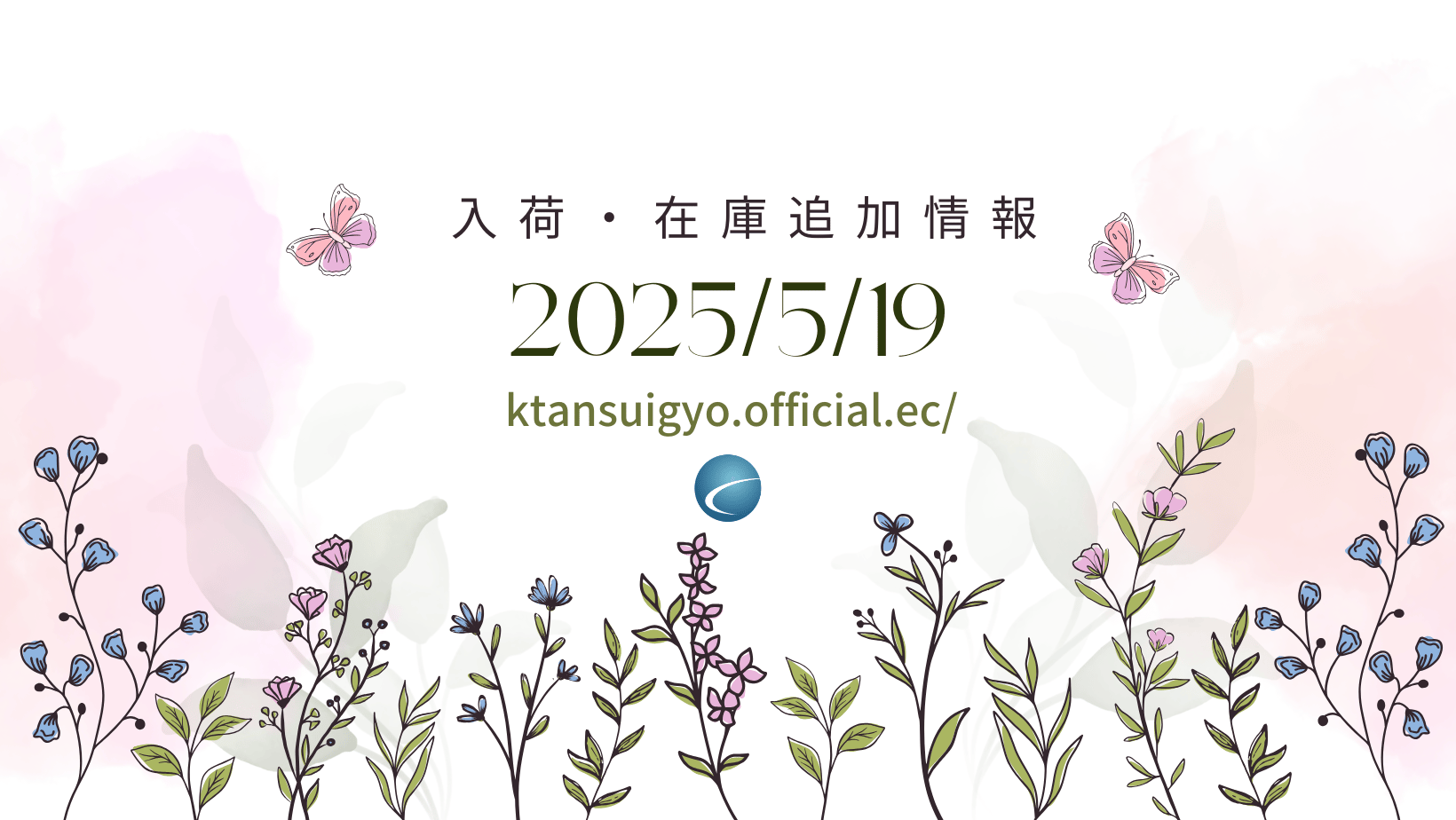 【再入荷・生体】2025年5月19日